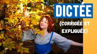 Miniature : Dictée (corrigée et expliquée) spéciale Le Seigneur des anneaux !