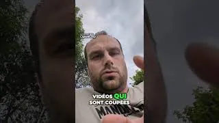 Miniature : élections législatives et manipulations