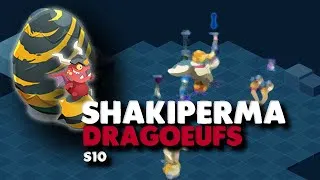 Miniature : [Wakfu] Dragoeufs S10 10 tours (feat Elkaly)