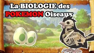 Miniature : La Biologie des POKEMON OISEAUX