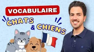 Miniature : 🐶🐱 Chiens et chats ! Le vocabulaire français du quotidien pour parler des animaux