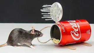 Miniature : La MEILLEURE FAÇON de se DÉBARRASSER des RATS 🐀😲