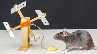 Miniature : Le plus étrange PIÈGE À RATS jamais créé 🐀😲