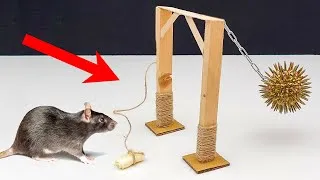 Miniature : Fabriquer un piège à rats PUISSANT comme au Moyen-Age 😲🐀