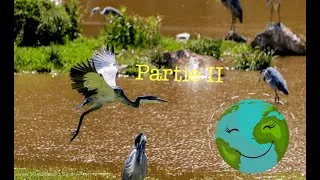 Miniature : 3 eme vidéo | Chapitre I du tronc commun scientifique (Partie 2)| Écologie