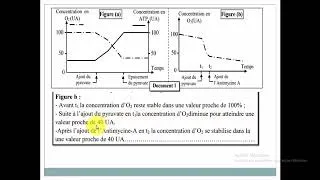 Miniature : Exercices  ATP & MUSCLE   Partie 8 🔥🔥 2bac SVT / 2 bac PC