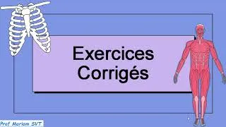 Miniature : Exercices  ATP & MUSCLE   Partie 7 🔥🔥 2bac SVT / 2 bac PC