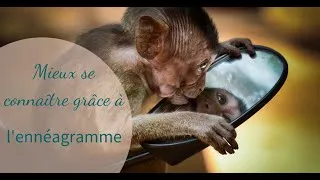 Miniature : Mieux se Connaître grâce à l'Ennéagramme