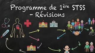 Miniature : BAC STSS - Révisions programme 1ère STSS