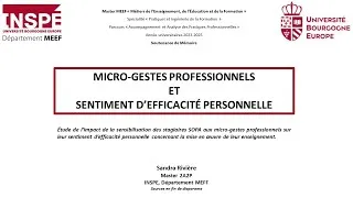Miniature : Micro-gestes et Sentiment d'Éfficacité Personnelle.