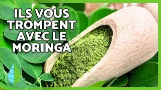 Miniature : Le moringa : le superaliment qu’on vous vend comme un miracle 🌿 (et qui ne l’est PAS)