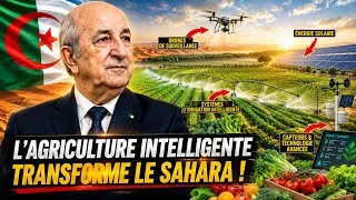 Miniature : 🇩🇿 Comment l’agriculture intelligente transforme le désert algérien en géant agricole ? 🌾