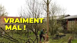 Miniature : Je coupe mon premier gros arbre.. ça tourne mal ! #2