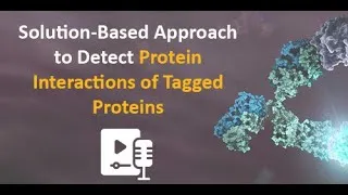 Miniature : Lumit® Immunoassays – Tag-Based Detection of Protein Interactions with a Solutions Approach