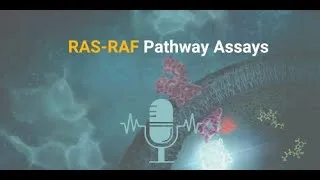 Miniature : RAS-RAF Pathway Assays