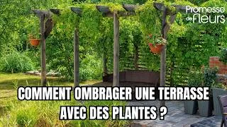 Miniature : Comment ombrager une terrasse avec des plantes ?