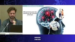 Miniature : Les mécanismes protecteurs de l’activité physique sur la santé mentale