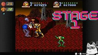 Miniature : Battletoads in Battlemaniacs   Level 1 Montagnes Khaos Rage et Rire à volonté Co op avec un abonné