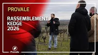 Miniature : Rassemblement Kedge & Provale 2026