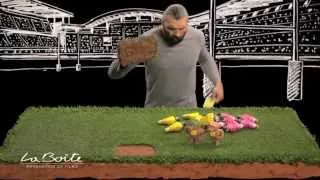 Miniature : Professeur Rugby