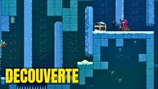 Miniature : Un platformer 2D piquant ! Une bonne alternative à Spelunky. (Aura of Worlds)