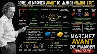 Miniature : Pourquoi marcher avant de manger a des effets que marcher après n'a pas ? | Méthode Feynman