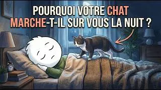 Miniature : Si votre chat marche sur vous la nuit, il essaie de vous dire ceci…
