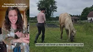 Miniature : 🐴🌱Décoller le Cheval qui Broute 🌱La VRAIE Technique 🌱 Tirée de la Science