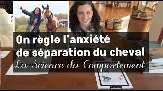 Miniature : Comment RÉGLER L'ANXIÉTÉ de SÉPARATION chez le cheval - Technique