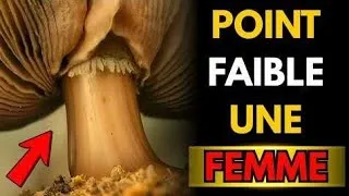 Miniature : 7 comportements masculins qui déclenchent l’attirance chez une femme psychologie