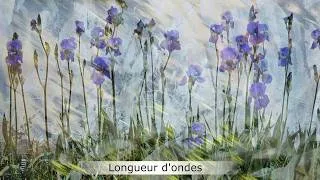 Miniature : Longueur d'ondes  #215  - La Rubrique de Frédérique