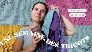 Miniature : Vlog Podcast Tricot 8 - Du bleu et du violet, une Mercerie en Lozère & présentation de mes rouets