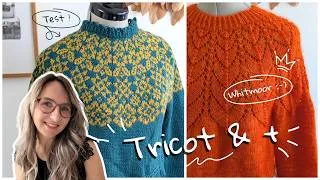 Miniature : Vlog tricot : chaussettes, pulls et canicule ☀️