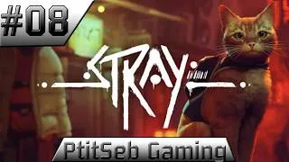 Miniature : [FR] Episode 08 - Stray