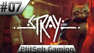 Miniature : [FR] Episode 07 - Stray