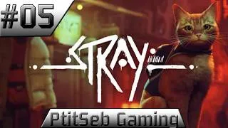 Miniature : [FR] Episode 05 - Stray