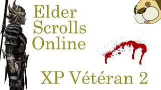 Miniature : [GUIDE] Elder Scrolls Online - Templier vétéran 2 : Vétéran c'est chouette !