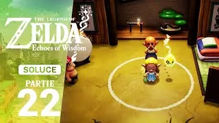 Miniature : Soluce Echoes of Wisdom – Étape 22 : Le Dojo du Dodo