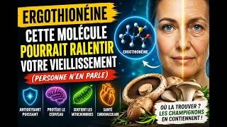 Miniature : Cette molécule pourrait ralentir votre vieillissement (personne n’en parle)