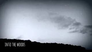 Miniature : INTO THE WOODS