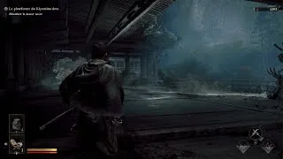 Miniature : Onimusha: Way of the Sword Sasaki Ganryu No Damage