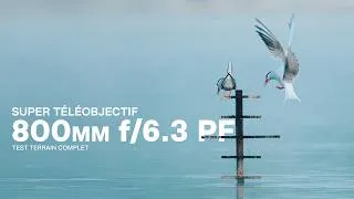 Miniature : Test du Nikon Z 800mm f/6.3 VR S en photo animalière