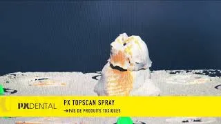 Miniature : PX TOPscan Spray