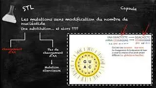 Miniature : Les mutations de l'ADN - BB