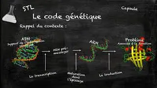 Miniature : Le code génétique   BB