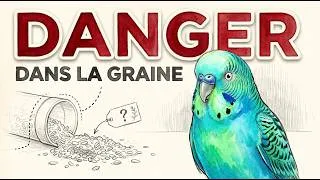 Miniature : Sept éléments présents dans la nourriture pour oiseaux qui tuent lentement vos oiseaux