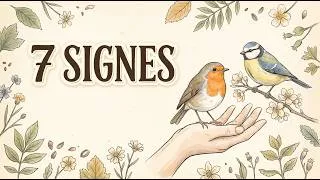 Miniature : Sept signes que les oiseaux de votre jardin vous ont choisi pour toujours