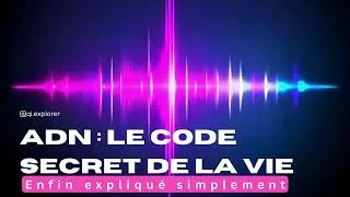 Miniature : 🧬 ADN : Le Code Secret de la Vie (Enfin expliqué simplement)