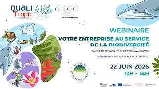 Miniature : [REPLAY WEBINAIRE] : Votre entreprise au service de la biodiversité : Audit de durabilité et EEN
