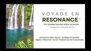 Miniature : « Et si une plante pouvait vous répondre » Voyage en Résonance escapade 1 : Une ouverture!